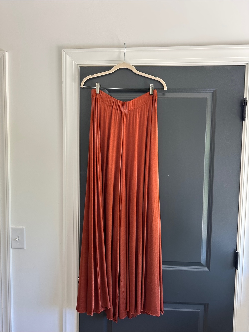 Rust Orange Pleated Palazzo Pants